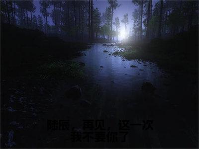 陆辰，再见，这一次我不要你了（陆辰林夕月）小说无删减版免费阅读-陆辰林夕月精彩章节推荐阅读