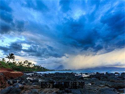 主角顾汀雨夏淮岸小说顾汀雨夏淮岸小说全文免费阅读