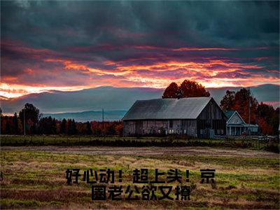 好心动！超上头！京圈老公欲又撩全文免费阅读-（霍砚霆慕栀）小说全文免费阅读正版无弹窗