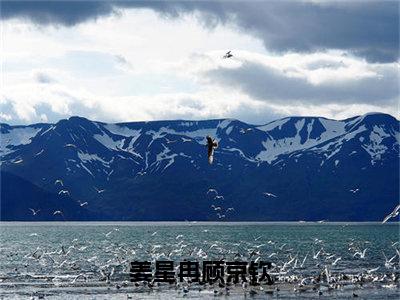 姜星冉顾京钦小说在线阅读-主角叫顾京钦姜星冉的小说（姜星冉顾京钦）完整版免费阅读全文