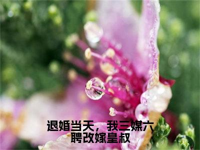 退婚当天，我三媒六聘改嫁皇叔花长乐卫承宣完整全文在线阅读花长乐卫承宣抖音热推小说全集无删减