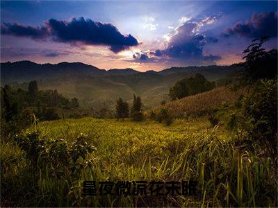 星夜微凉花未眠付白煦叶时宜最新章节免费阅读-星夜微凉花未眠小说推荐付白煦叶时宜精彩章节在线阅读