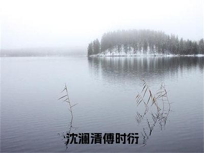 沈澜清傅时衍（傅时衍沈澜清）全文免费阅读无弹窗大结局_（沈澜清傅时衍）最新章节列表_笔趣阁