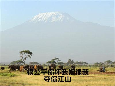 小说（很公平你坏我姻缘我夺你江山）_纪如月全文阅读_很公平你坏我姻缘我夺你江山免费阅读大结局（免费+后续）