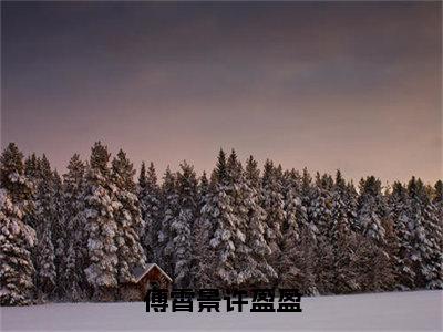 傅霄景许盈盈全集完整版大结局-傅霄景许盈盈小说在线赏析