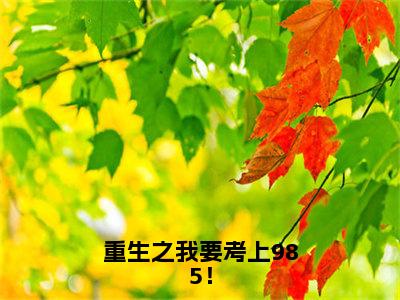 重生之我要考上985！小说全文免费阅读（林笑笑裴延）免费阅读全文免费阅读无弹窗大结局