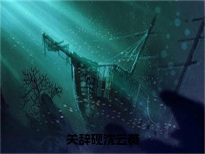 沈云薇关辞砚小说全文（关辞砚沈云薇）全文免费阅读无弹窗大结局_关辞砚沈云薇小说免费最新章节列表