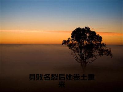 身败名裂后她卷土重来（沈启张秋泠）全文免费阅读无弹窗大结局_沈启张秋泠免费最新章节列表_笔趣阁