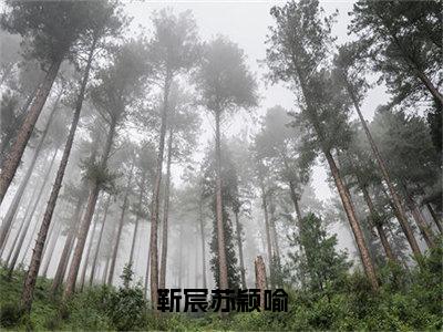 苏颖喻靳宸是什么小说-（靳宸苏颖喻全文阅读）最新章节列表（番外）+（全文）