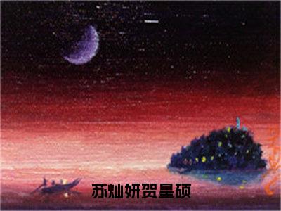 苏灿妍贺星硕（苏灿妍贺星硕）小说全文免费阅读无弹窗大结局_（苏灿妍贺星硕）最新章节列表（苏灿妍贺星硕）