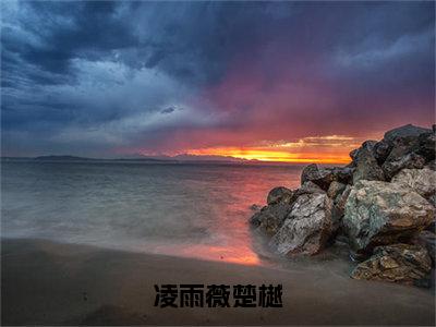 凌雨薇楚樾（主角是楚樾凌雨薇全文免费阅读无弹窗）_凌雨薇楚樾全文免费阅读无弹窗大结局