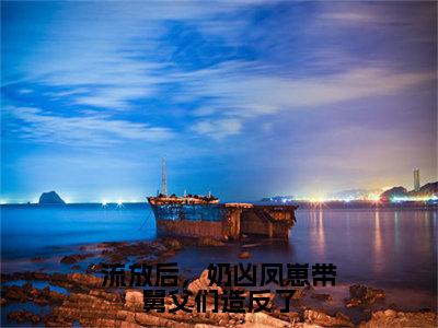 流放后，奶凶凤崽带舅父们造反了全文免费阅读（苦宝免费阅读无弹窗）流放后，奶凶凤崽带舅父们造反了最新章节列表_笔趣阁