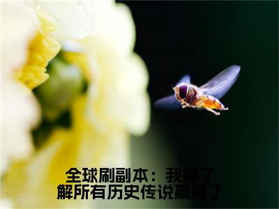 林乐悠（全球刷副本：我靠了解所有历史传说赢麻了）全文免费阅读无弹窗大结局_林乐悠小说最新章节列表_笔趣阁