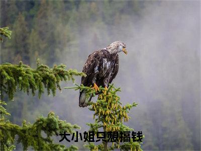 （龙岁岁）小说全文免费阅读_龙岁岁（大小姐只想搞钱）最新章节热文在线阅读