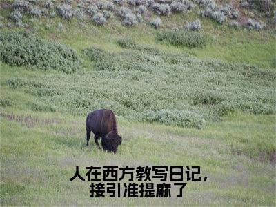 （人在西方教写日记，接引准提麻了抖音小说）林坤小说全文阅读免费