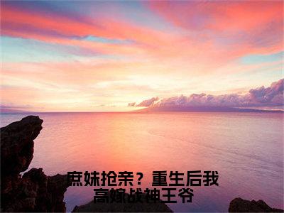 庶妹抢亲？重生后我高嫁战神王爷（许流光墨严晨）免费阅读_许流光墨严晨小说免费阅读-笔趣阁