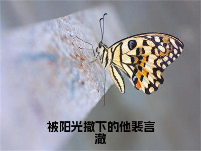 林清安裴言澈小说全文免费阅读_林清安裴言澈（被阳光撒下的他裴言澈）最新章节列表笔趣阁