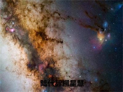 陆代辞柳星慧（柳星慧陆代辞）全文免费阅读无弹窗大结局_陆代辞柳星慧免费阅读无弹窗最新章节列表