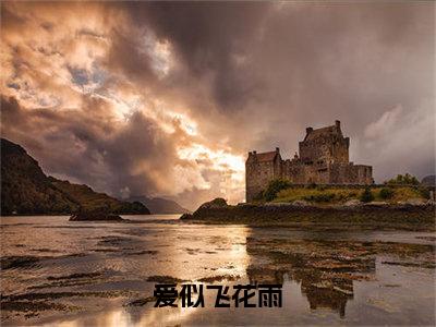 爱似飞花雨（安凝向远）全集免费阅读无弹窗_爱似飞花雨正版小说免费阅读