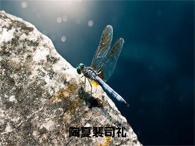 陶夏裴司礼全本资源免费阅读结局无删节主角：裴司礼陶夏小说全文阅读无弹窗