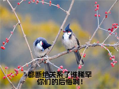 都断绝关系了谁稀罕你们的后悔啊！小说全文免费阅读宫止煜免费完整版阅读