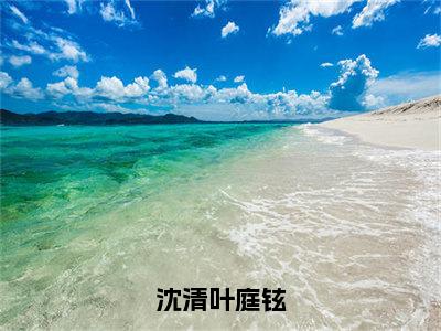 沈清叶庭铉叶庭铉沈清无广告阅读新上热文叶庭铉沈清在线免费读