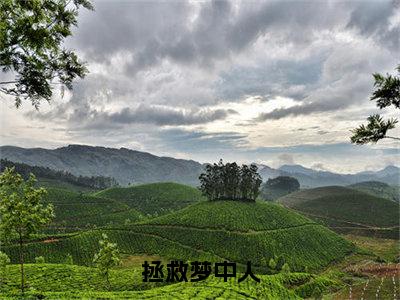 庞小雨鲍雨峰小说免费下载阅读_（拯救梦中人）庞小雨鲍雨峰最新章节列表_笔趣阁（拯救梦中人）