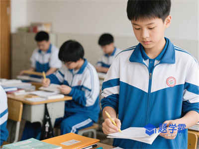 无极县野风美术中学2025年招生计划