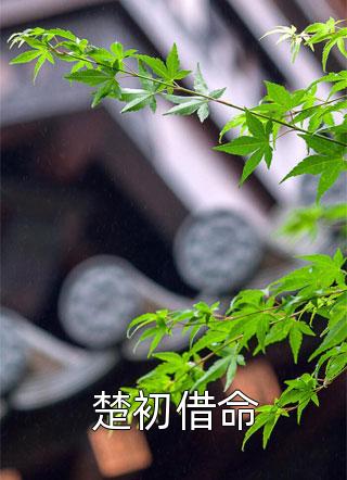 重生后我成了炒房界扛把子最新章节阅读， 姚远柳璟雯小说